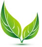 start up company website deal